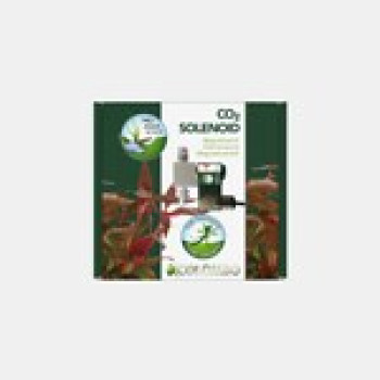 Colombo CO2 Solenoid Valve